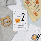 Personalised Safari Milestone Cards in Bag: 3 - Keepsakes By Gift Moments