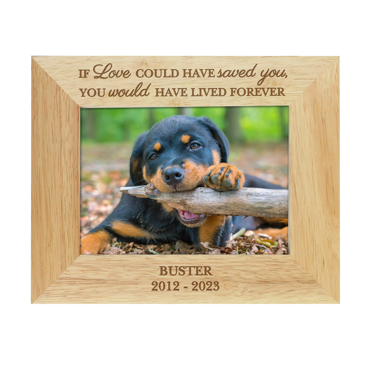 Personalised Pet Memorial 6x4 Photo Frame - Photo Frames at Gift Moments