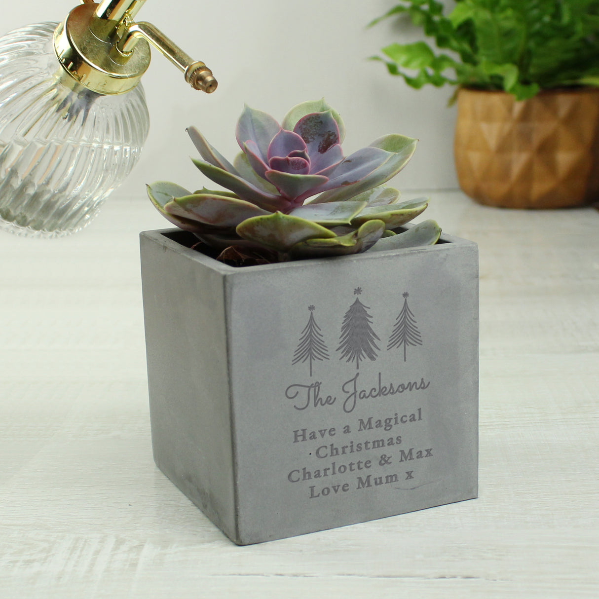 Personalised Christmas Tree Concrete Planter - Pots & Planters at Gift Moments