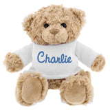 Personalised Blue Name Teddy Bear - Teddy Bears & Soft Toys at Gift Moments