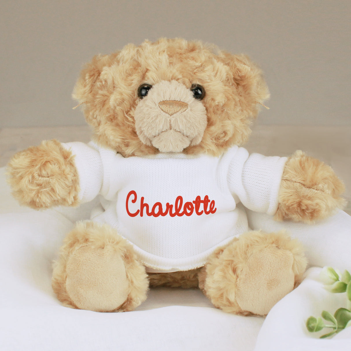 Personalised Red Name Teddy Bear - Teddy Bears & Soft Toys at Gift Moments