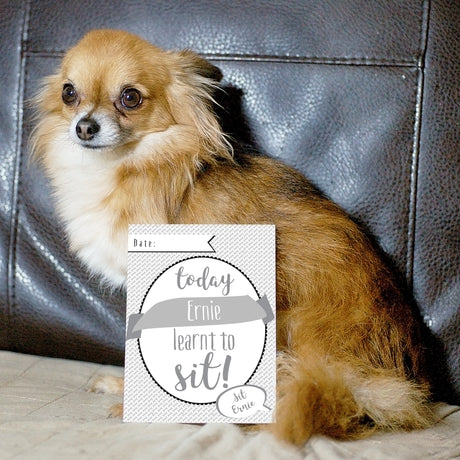 Personalised Puppy Cards: For Milestone Moments - Keepsakes at Gift Moments