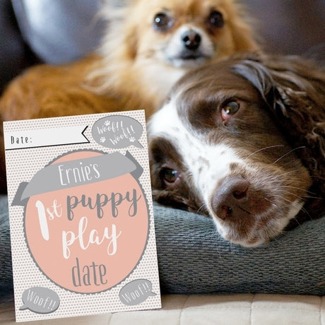 Personalised Puppy Cards: For Milestone Moments - Keepsakes at Gift Moments