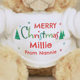 Personalised Merry Christmas Teddy Bear - Teddy Bears & Soft Toys at Gift Moments