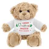 Personalised Merry Christmas Teddy Bear - Teddy Bears & Soft Toys at Gift Moments