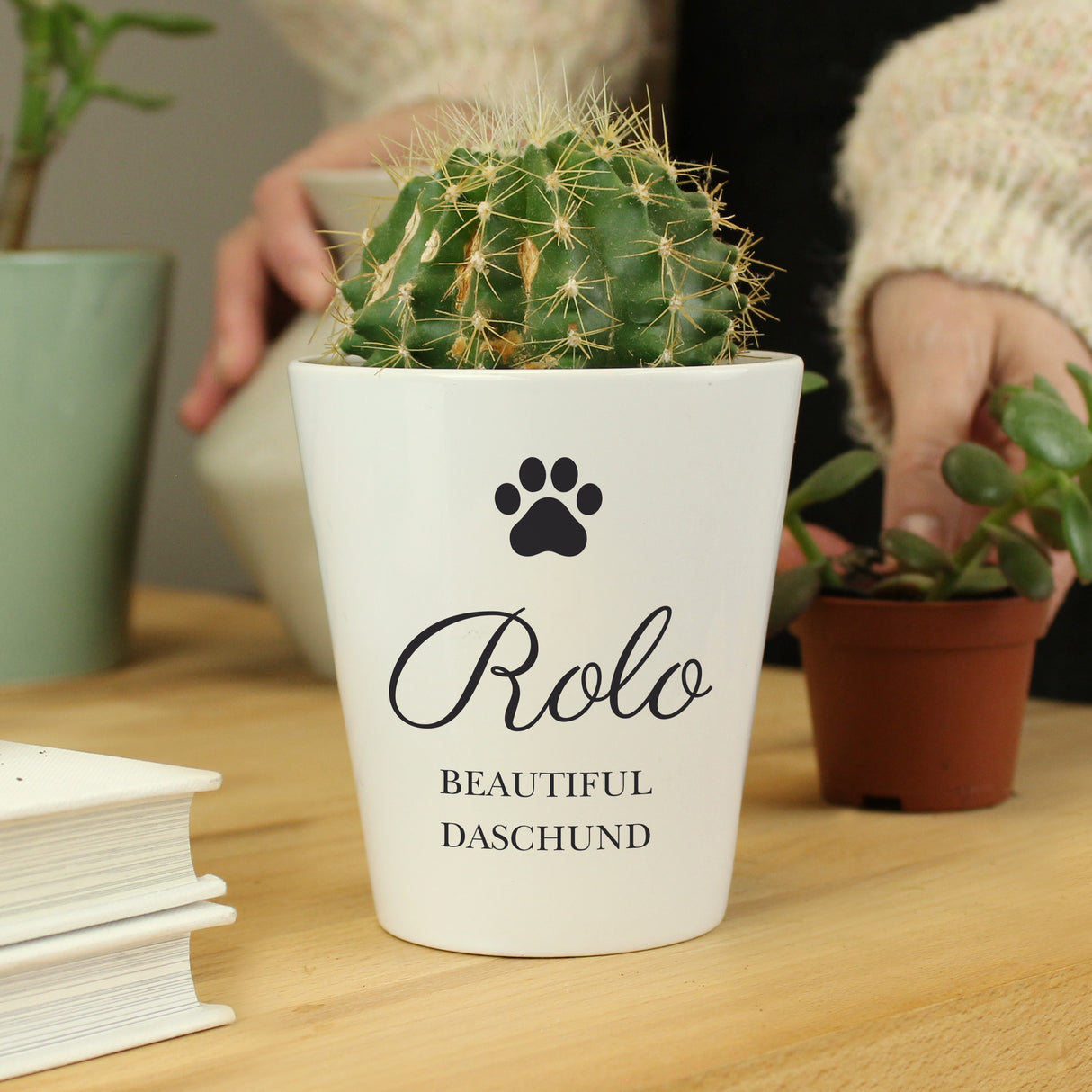 Personalised Paw Print Plant Pot Default Title - Vases & Plant Pots at Gift Moments