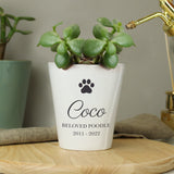 Personalised Paw Print Plant Pot - Vases & Plant Pots at Gift Moments