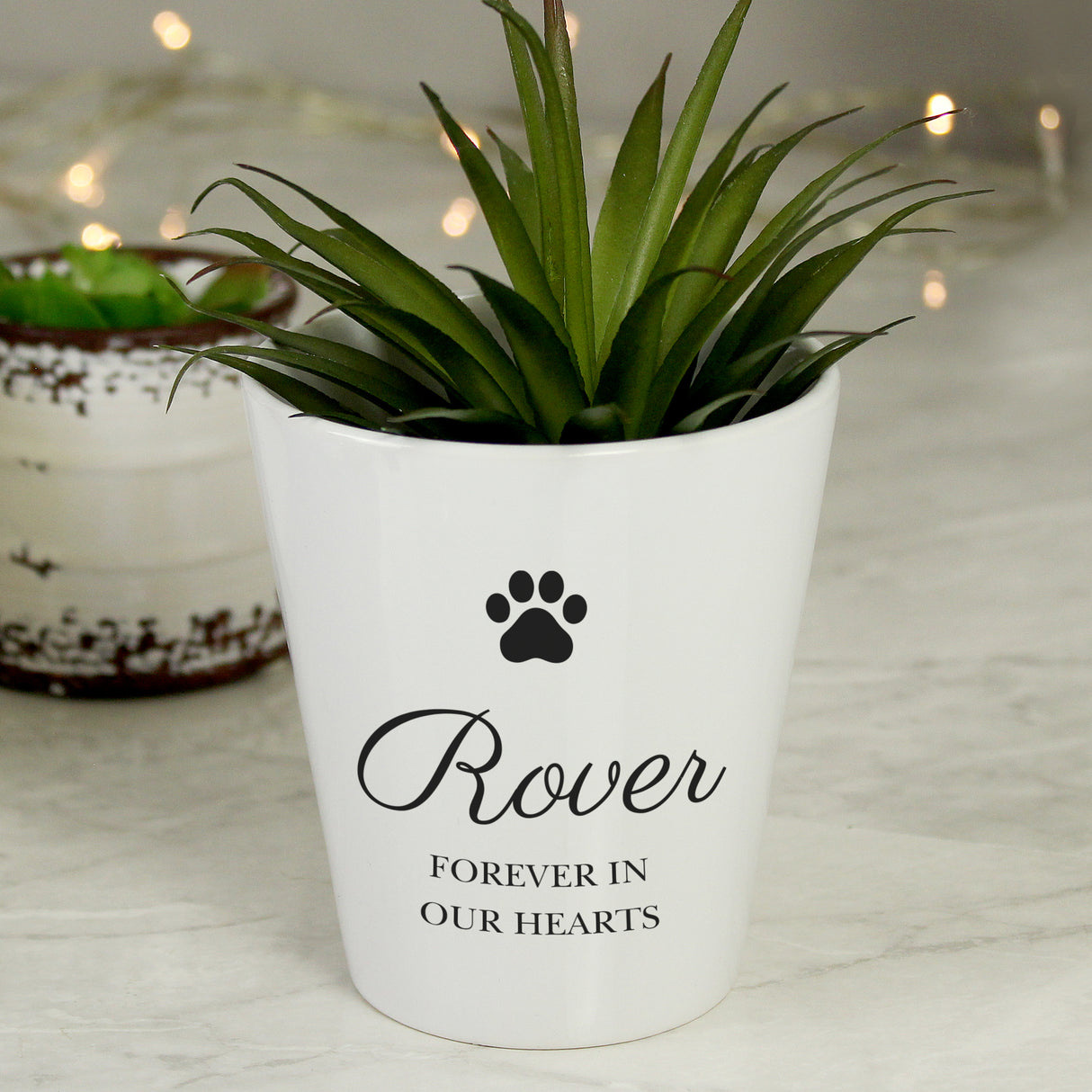 Personalised Paw Print Plant Pot - Vases & Plant Pots at Gift Moments