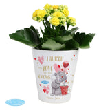 Personalised Me To You Love Grows Plant Pot - Vases & Plant Pots at Gift Moments