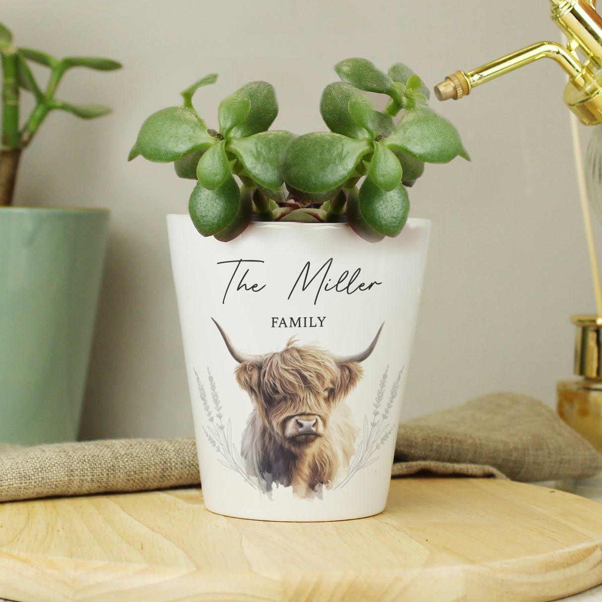 Personalised Highland Cow Plant Pot - Vases & Plant Pots at Gift Moments