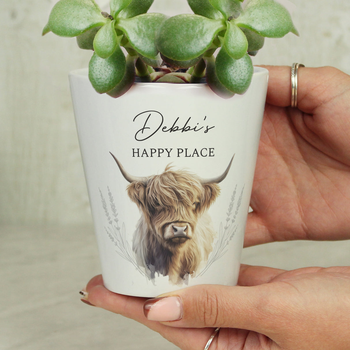 Personalised Highland Cow Plant Pot - Vases & Plant Pots at Gift Moments