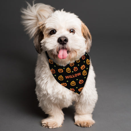 Personalised Pumpkin Patch Dog Bandana - Pet Products at Gift Moments