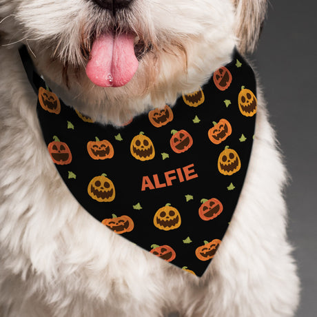 Personalised Pumpkin Patch Dog Bandana - Pet Products at Gift Moments