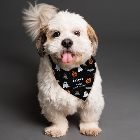 Personalised Halloween Dog Bandana - Pet Products at Gift Moments