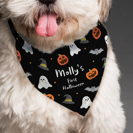 Personalised Halloween Dog Bandana - Pet Products at Gift Moments