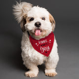 Personalised Woofs You Dog Bandana - Pet Products at Gift Moments