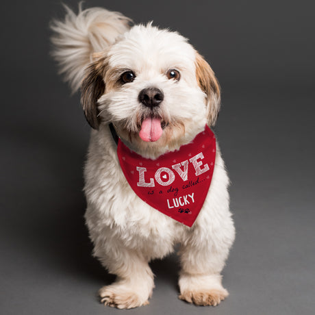 Personalised Love is... Dog Bandana - Pet Products at Gift Moments