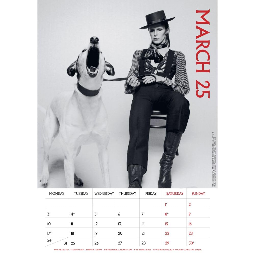 David Bowie A3 Calendar 2025 - Calendars & Planners at Gift Moments