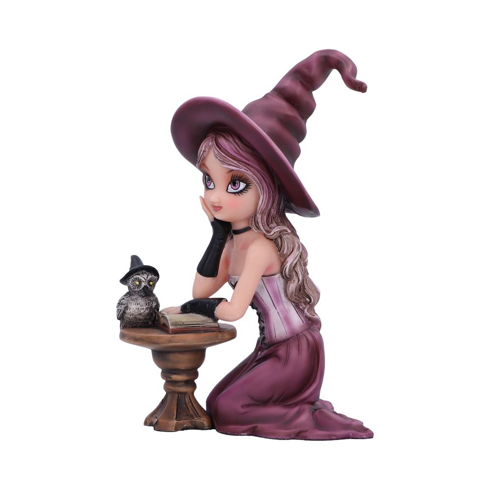 Agatha Witch Figurine 15cm: 3 - Figures & Collectables By Gift Moments