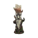 Ent King Green Man Tree Spirit Pagan Wiccan Incense Holder Default Title - Incense Holders at Gift Moments