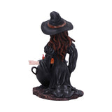 Althea Witch figurine with Flame Cauldron: 4 - Figurines Medium (15-29cm) By NN Designs