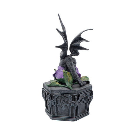 Anne Stokes Dragon Beauty Valentine Box: 4 - Boxes By Anne Stokes