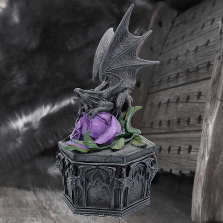 Anne Stokes Dragon Beauty Valentine Box: 1 - Boxes By Anne Stokes