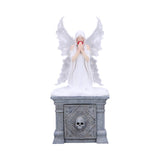 Anne Stokes Only Love Remains Fairy Figurine Storage Box: 2 - Boxes By Anne Stokes