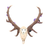 Antlers of Eden Floral Decorated Animal Deer Skull: 3 - Wall Hanging Sculptures By NN Designs