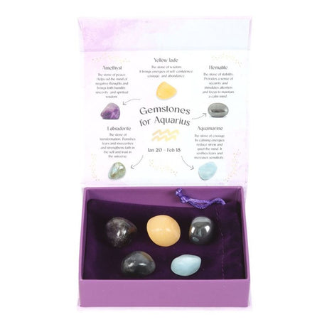 Aquarius Crystal Tumblestone Set: 2 - By Gift Moments