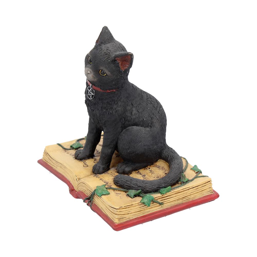 Eclipse Cat Spell Book Figurine Wiccan Witch Gothic Ornament - Figurines Small (Under 15cm) at Gift Moments