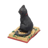 Eclipse Cat Spell Book Figurine Wiccan Witch Gothic Ornament - Figurines Small (Under 15cm) at Gift Moments