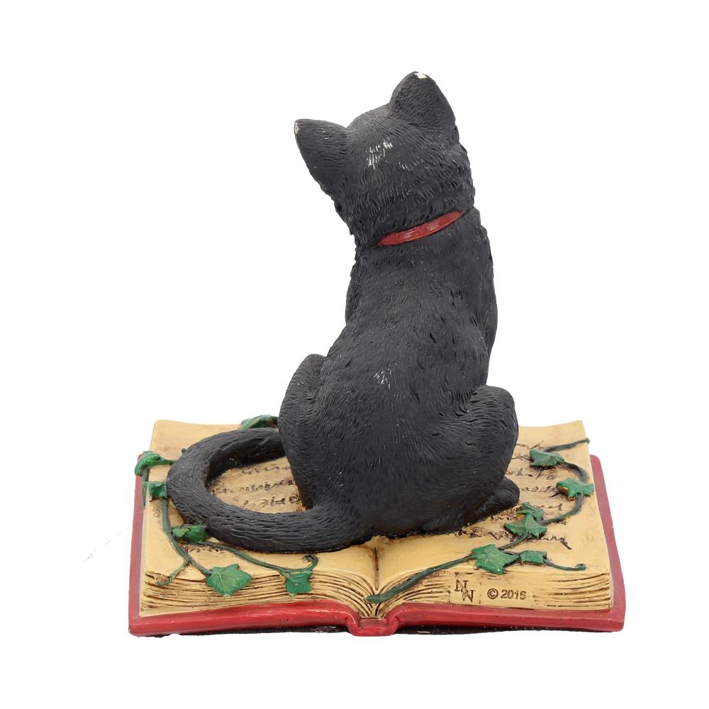 Eclipse Cat Spell Book Figurine Wiccan Witch Gothic Ornament - Figurines Small (Under 15cm) at Gift Moments