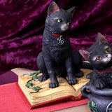 Eclipse Cat Spell Book Figurine Wiccan Witch Gothic Ornament - Figurines Small (Under 15cm) at Gift Moments