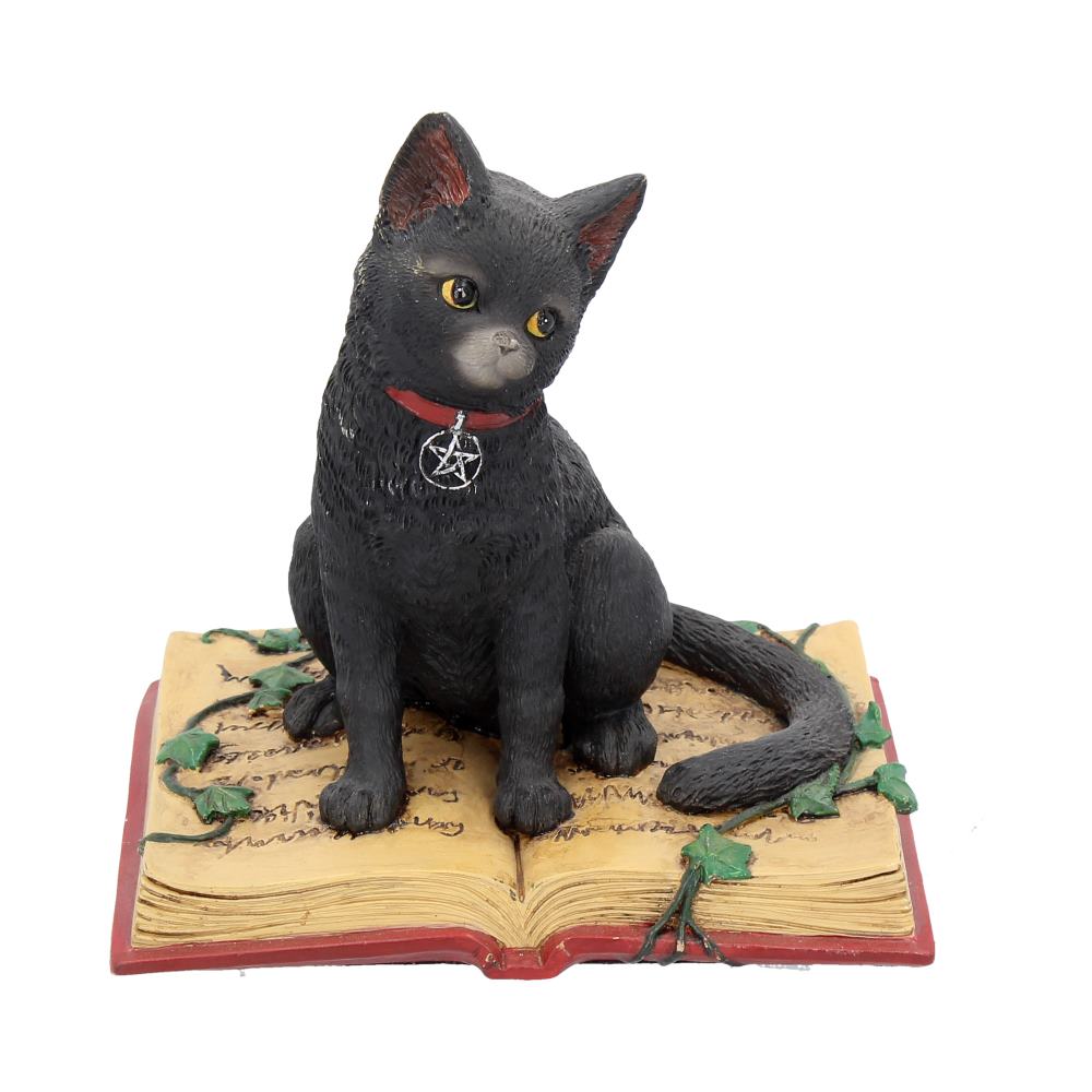 Eclipse Cat Spell Book Figurine Wiccan Witch Gothic Ornament Default Title - Figurines Small (Under 15cm) at Gift Moments