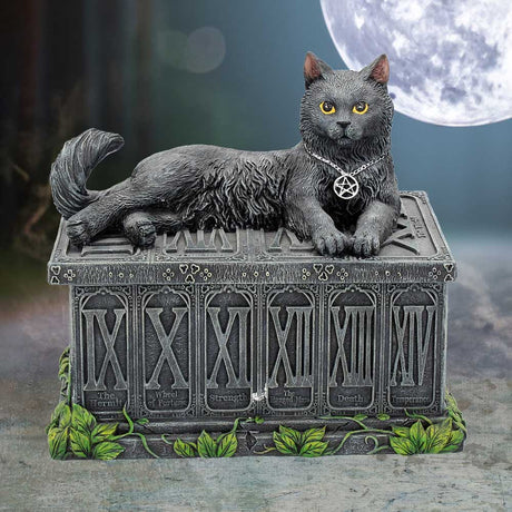 Fortune's Watcher Cat Familiar Tarot Box - Boxes at Gift Moments