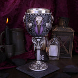 Edgar Allen Poe Nevermore Raven Goblet - Goblets & Chalices at Gift Moments