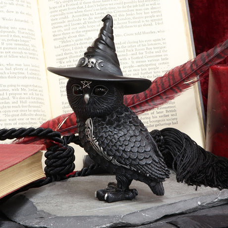 Owlocen Witches Hat Occult Owl Figurine - Figures & Collectables at Gift Moments