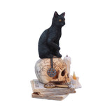 Officially Licensed Lisa Parker Spirits of Salem Figurine - Figures & Collectables at Gift Moments