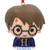 Harry Potter Harry Hanging Ornament - Decorations at Gift Moments