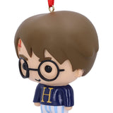 Harry Potter Harry Hanging Ornament - Decorations at Gift Moments