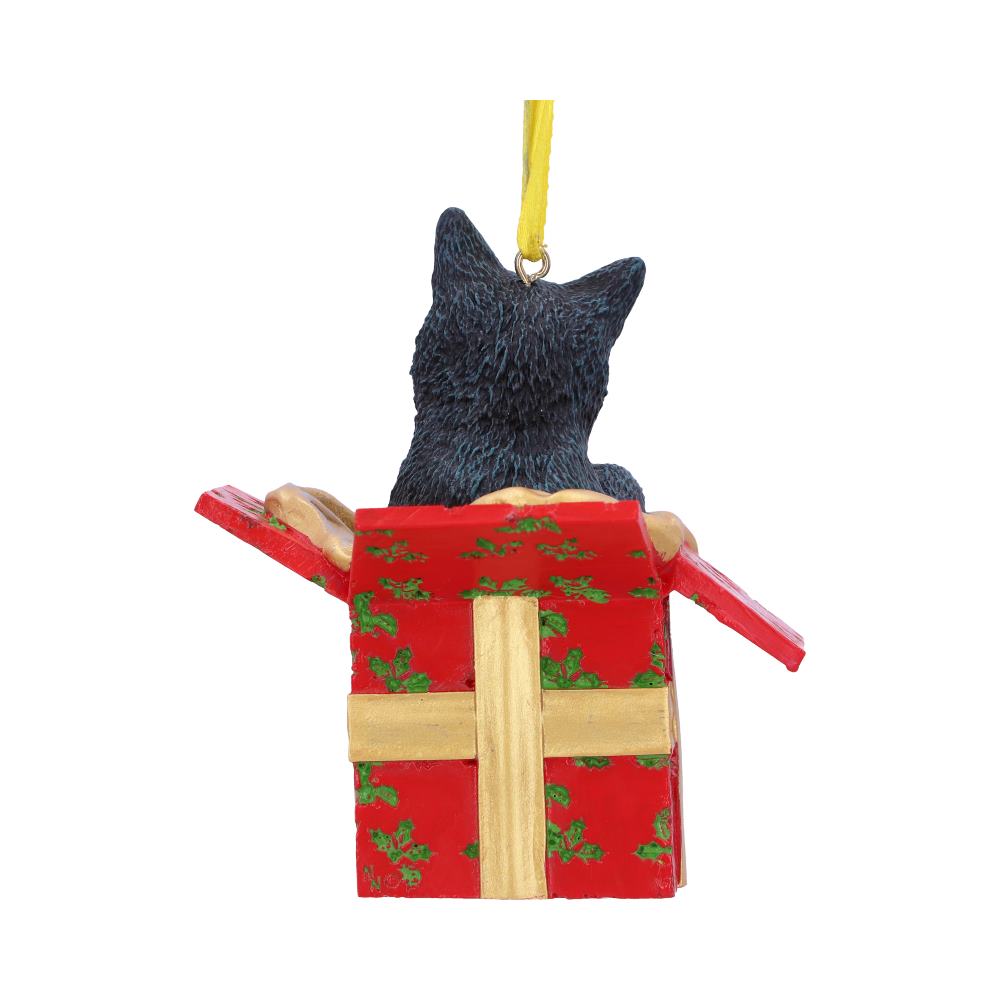 Lisa Parker Present Cat Hanging Ornament 9cm - Hanging Decorations at Gift Moments