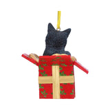 Lisa Parker Present Cat Hanging Ornament 9cm - Hanging Decorations at Gift Moments