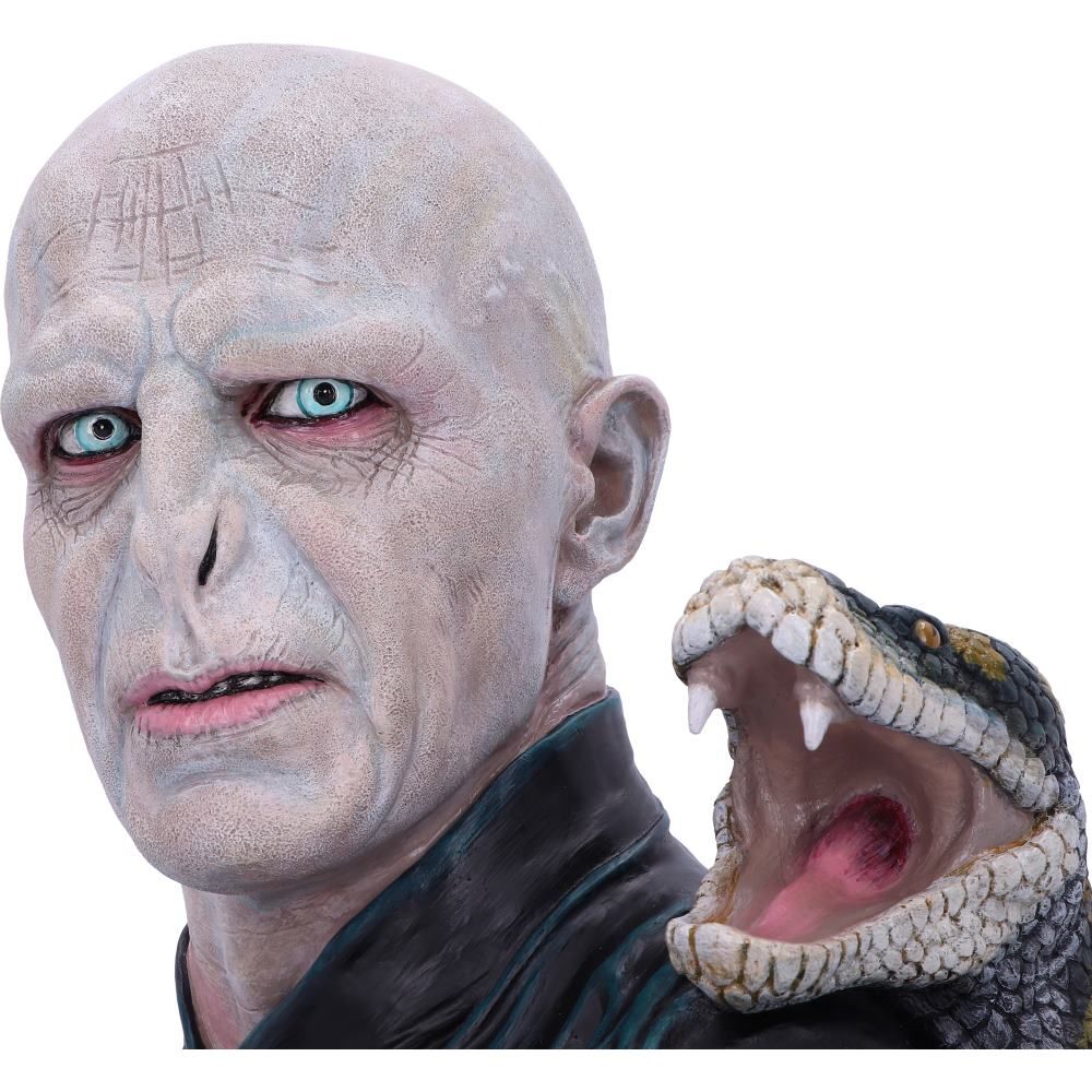 Harry Potter Lord Voldemort Bust - Figures & Collectables at Gift Moments