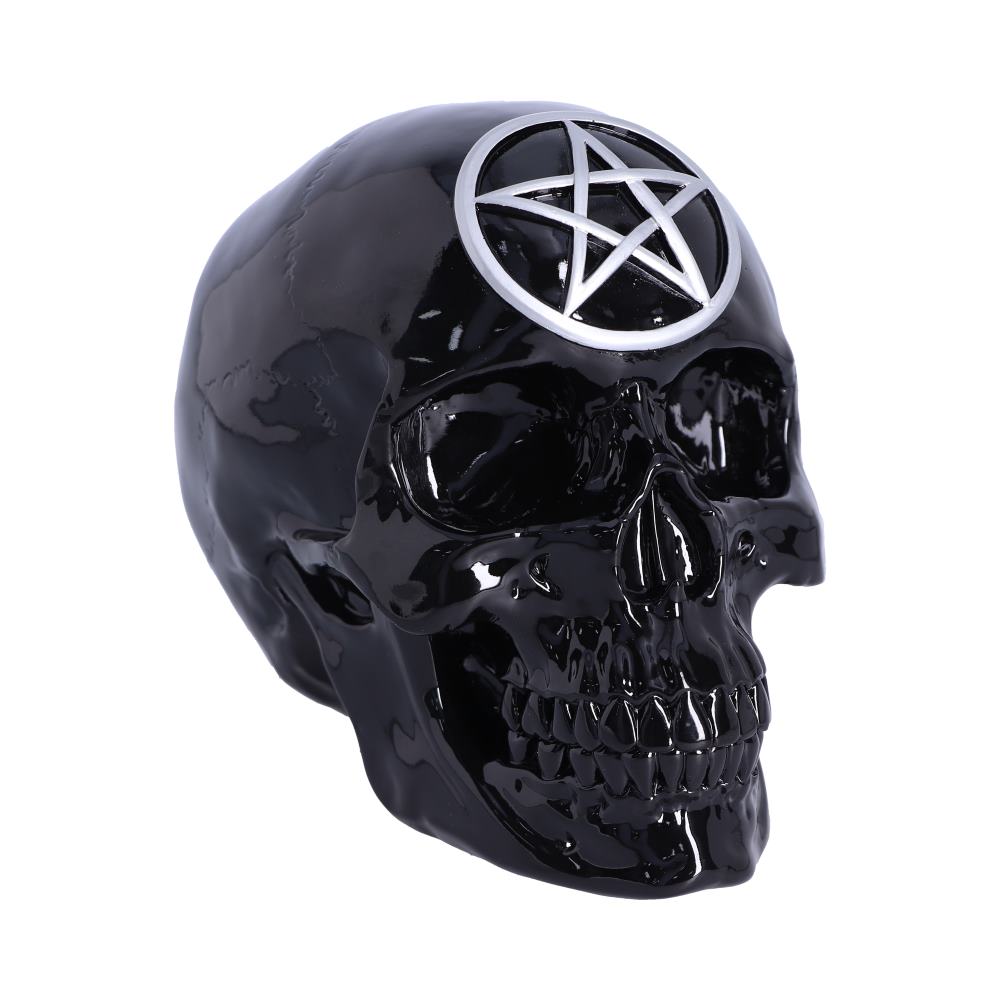 Black Magic Skull 19.5cm Default Title - Figures & Collectables at Gift Moments