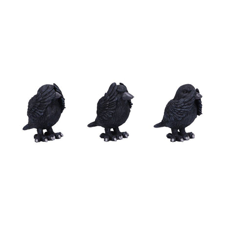 Three Wise Ravens Figurines 8.7cm - Figures & Collectables at Gift Moments