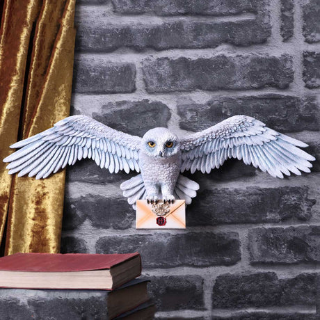 Harry Potter Hedwig Owl Wall Plaque - Signs & Plaques at Gift Moments