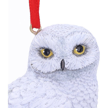 Harry Potter Hedwig's Rest Hanging Ornament - Decorations at Gift Moments