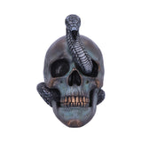 Gothic Snake Skull Statue 19cm - Figures & Collectables at Gift Moments