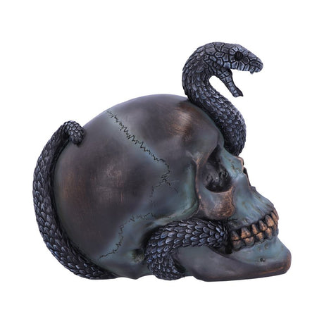 Gothic Snake Skull Statue 19cm - Figures & Collectables at Gift Moments